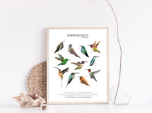 Load image into Gallery viewer, Hummingbirds Print