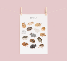 Load image into Gallery viewer, Hamsters Print
