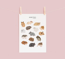 Load image into Gallery viewer, Hamsters Print