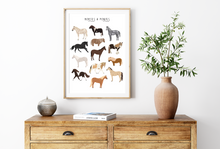 Load image into Gallery viewer, Horses & Ponies Print