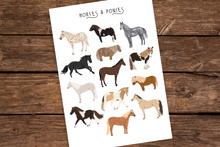 Load image into Gallery viewer, Horses & Ponies Print