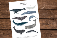 Load image into Gallery viewer, Whales Print
