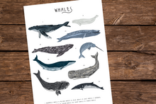 Load image into Gallery viewer, Whales Print