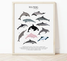 Load image into Gallery viewer, Dolphins Print