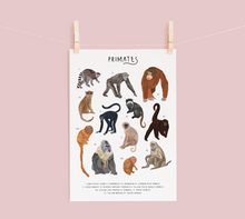 Load image into Gallery viewer, Primates Print