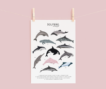 Load image into Gallery viewer, Dolphins Print