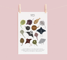 Load image into Gallery viewer, Rays Print