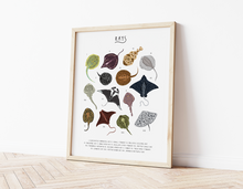 Load image into Gallery viewer, Rays Print