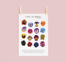 Load image into Gallery viewer, Pansies Print