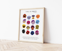 Load image into Gallery viewer, Pansies Print