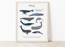 Load image into Gallery viewer, Whales Print