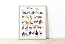 Load image into Gallery viewer, A-Z Jungle Poster