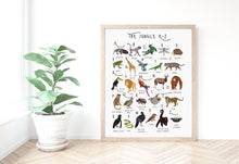 Load image into Gallery viewer, A-Z Jungle Poster