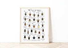 Load image into Gallery viewer, A-Z of Bees Poster