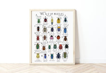 Load image into Gallery viewer, A-Z of Beetles Poster