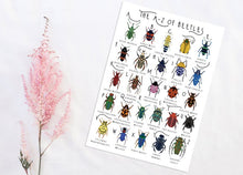 Load image into Gallery viewer, A-Z of Beetles Poster