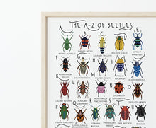 Load image into Gallery viewer, A-Z of Beetles Poster