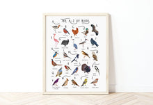Load image into Gallery viewer, A-Z of Birds Poster