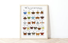 Load image into Gallery viewer, A-Z of Butterflies Poster
