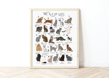 Load image into Gallery viewer, A-Z of Cats Poster