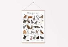 Load image into Gallery viewer, A-Z of Cats Poster