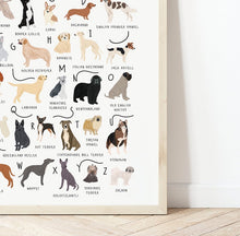 Load image into Gallery viewer, A-Z of Dogs Poster