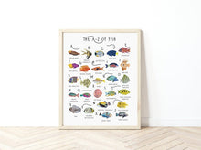 Load image into Gallery viewer, A-Z of Fish Poster