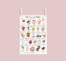 Load image into Gallery viewer, A-Z of Fungi Poster