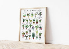 Load image into Gallery viewer, A-Z of House Plants Poster