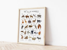 Load image into Gallery viewer, A-Z of Mammals Poster