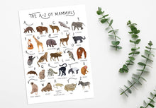 Load image into Gallery viewer, A-Z of Mammals Poster