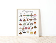 Load image into Gallery viewer, A-Z of Moths Poster