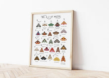 Load image into Gallery viewer, A-Z of Moths Poster