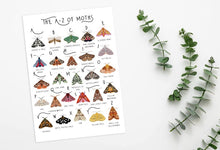 Load image into Gallery viewer, A-Z of Moths Poster
