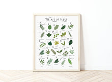 Load image into Gallery viewer, A-Z of Trees Poster