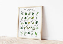 Load image into Gallery viewer, A-Z of Trees Poster