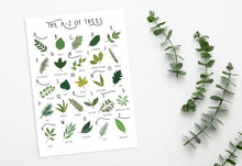 Load image into Gallery viewer, A-Z of Trees Poster