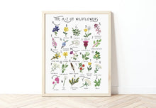 Load image into Gallery viewer, A-Z of Wildflowers Poster