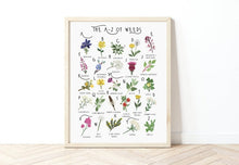 Load image into Gallery viewer, A-Z of Wildflowers Poster