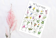 Load image into Gallery viewer, A-Z of Wildflowers Poster
