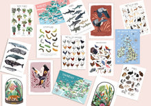 Load image into Gallery viewer, Mix and Match Any 3 Prints