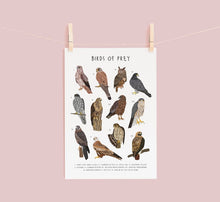 Load image into Gallery viewer, Birds of Prey Print