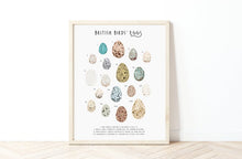 Load image into Gallery viewer, British Birds Eggs Print