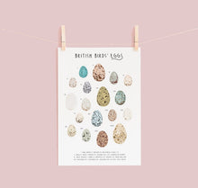 Load image into Gallery viewer, British Birds Eggs Print