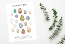 Load image into Gallery viewer, British Birds Eggs Print