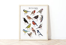 Load image into Gallery viewer, British Birds Print