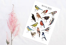 Load image into Gallery viewer, British Birds Print