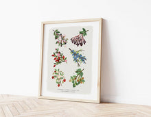Load image into Gallery viewer, British Hedgerow Print