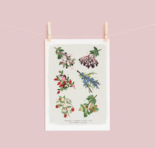 Load image into Gallery viewer, British Hedgerow Print