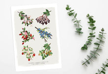 Load image into Gallery viewer, British Hedgerow Print